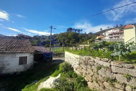 Farm i Baiao, Porto, Baiao - € 590.000 | Ref: 1116241 - foto 4