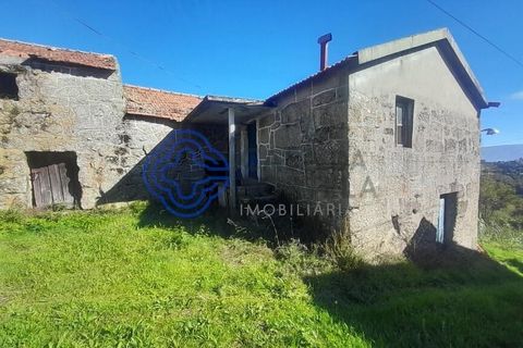 Farm i Baiao, Porto, Baiao - € 590.000 | Ref: 1116241 - foto 6