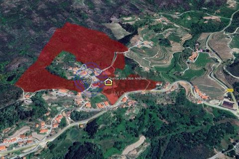 Farm i Baiao, Porto, Baiao - € 590.000 | Ref: 1116241 - foto 1