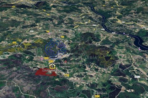 Farm i Baiao, Porto, Baiao - € 590.000 | Ref: 1116241 - foto 10