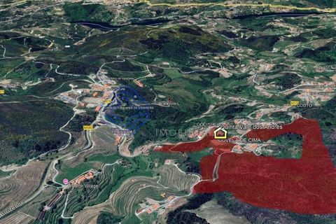 Farm i Baiao, Porto, Baiao - € 590.000 | Ref: 1116241 - foto 12