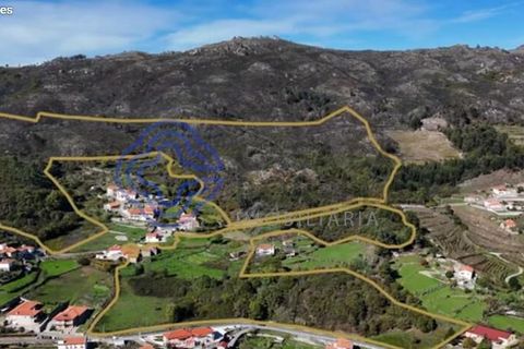 Farm i Baiao, Porto, Baiao - € 590.000 | Ref: 1116241 - foto 2