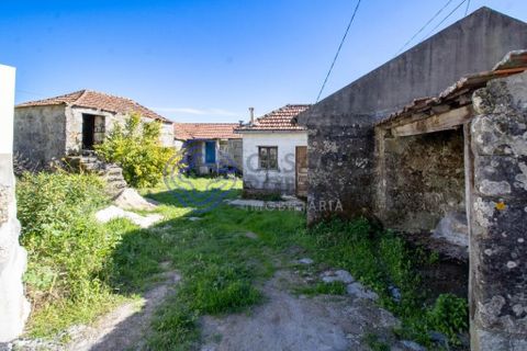 Farm i Baiao, Porto, Baiao - € 590.000 | Ref: 1116241 - foto 3