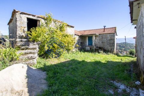 Farm i Baiao, Porto, Baiao - € 590.000 | Ref: 1116241 - foto 7