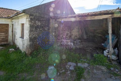Farm i Baiao, Porto, Baiao - € 590.000 | Ref: 1116241 - foto 13