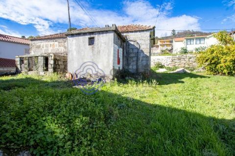 Farm i Baiao, Porto, Baiao - € 590.000 | Ref: 1116241 - foto 14