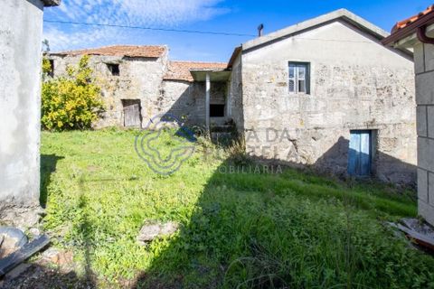 Farm i Baiao, Porto, Baiao - € 590.000 | Ref: 1116241 - foto 15