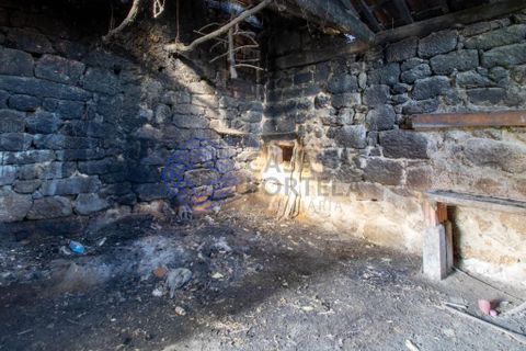 Farm i Baiao, Porto, Baiao - € 590.000 | Ref: 1116241 - foto 17