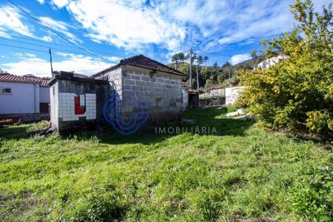 Farm i Baiao, Porto, Baiao - € 590.000 | Ref: 1116241 - foto 18