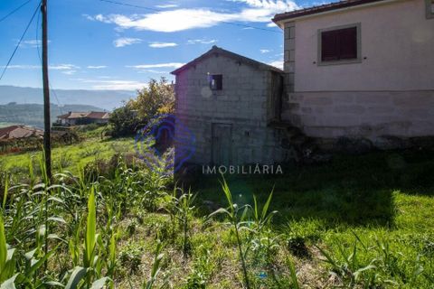 Farm i Baiao, Porto, Baiao - € 590.000 | Ref: 1116241 - foto 19