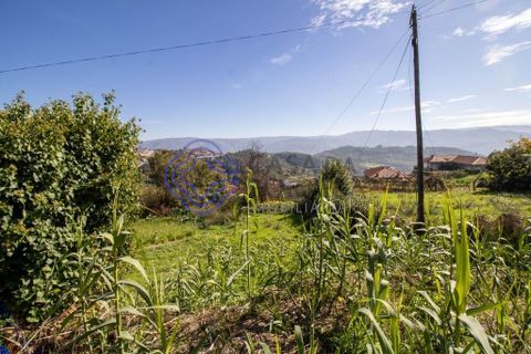 Farm i Baiao, Porto, Baiao - € 590.000 | Ref: 1116241 - foto 21