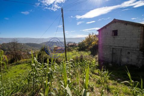 Farm i Baiao, Porto, Baiao - € 590.000 | Ref: 1116241 - foto 22