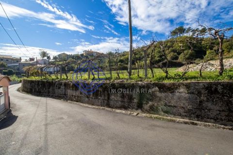 Farm i Baiao, Porto, Baiao - € 590.000 | Ref: 1116241 - foto 23