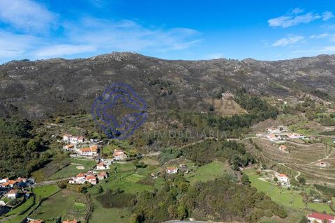 Farm i Baiao, Porto, Baiao - € 590.000 | Ref: 1116241 - foto 24