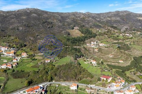 Farm i Baiao, Porto, Baiao - € 590.000 | Ref: 1116241 - foto 26