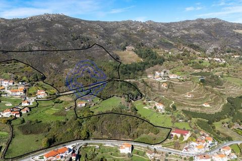 Farm i Baiao, Porto, Baiao - € 590.000 | Ref: 1116241 - foto 27