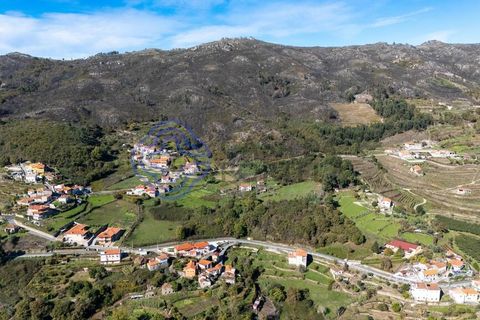 Farm i Baiao, Porto, Baiao - € 590.000 | Ref: 1116241 - foto 28