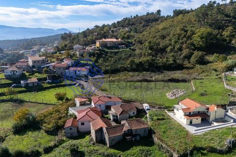 Farm i Baiao, Porto, Baiao - € 590.000 | Ref: 1116241 - foto 29
