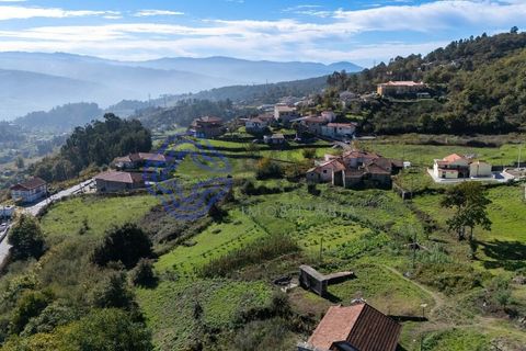 Farm i Baiao, Porto, Baiao - € 590.000 | Ref: 1116241 - foto 30