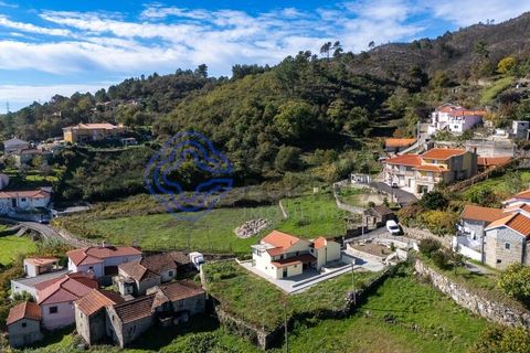 Farm i Baiao, Porto, Baiao - € 590.000 | Ref: 1116241 - foto 31
