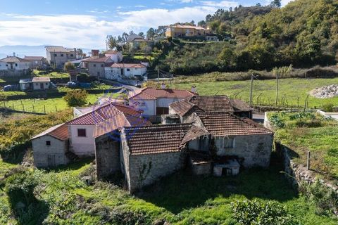 Farm i Baiao, Porto, Baiao - € 590.000 | Ref: 1116241 - foto 33