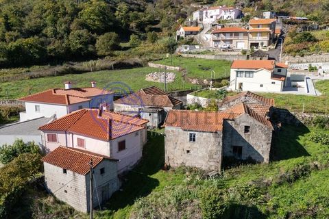 Farm i Baiao, Porto, Baiao - € 590.000 | Ref: 1116241 - foto 34