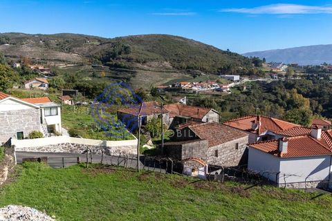 Farm i Baiao, Porto, Baiao - € 590.000 | Ref: 1116241 - foto 35