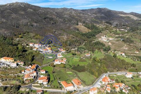 Farm i Baiao, Porto, Baiao - € 590.000 | Ref: 1116241 - foto 37