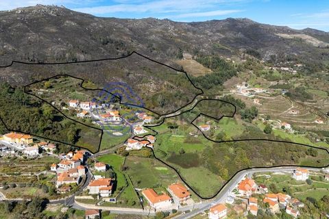 Farm i Baiao, Porto, Baiao - € 590.000 | Ref: 1116241 - foto 38