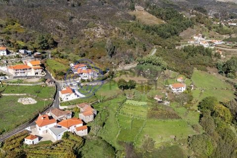 Farm i Baiao, Porto, Baiao - € 590.000 | Ref: 1116241 - foto 39