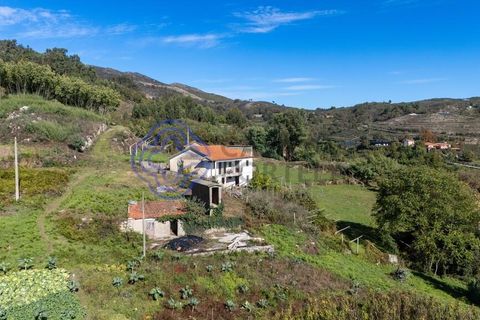 Farm i Baiao, Porto, Baiao - € 590.000 | Ref: 1116241 - foto 40