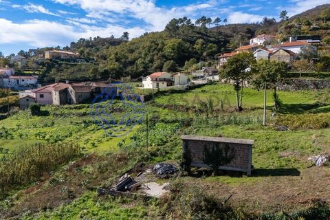 Farm i Baiao, Porto, Baiao - € 590.000 | Ref: 1116241 - foto 41