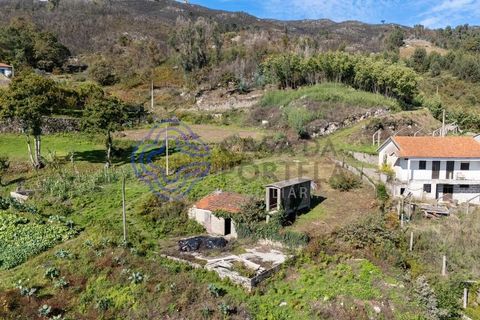 Farm i Baiao, Porto, Baiao - € 590.000 | Ref: 1116241 - foto 42