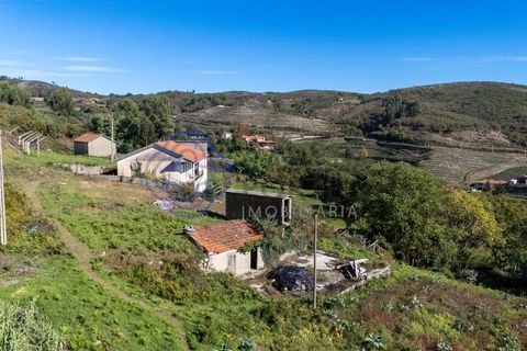 Farm i Baiao, Porto, Baiao - € 590.000 | Ref: 1116241 - foto 43