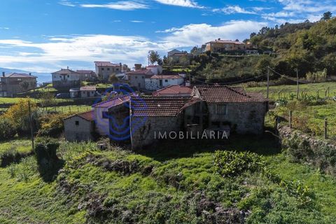 Farm i Baiao, Porto, Baiao - € 590.000 | Ref: 1116241 - foto 44