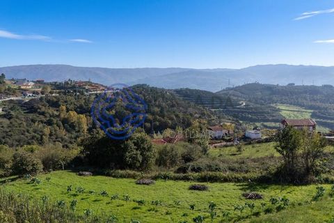 Farm i Baiao, Porto, Baiao - € 590.000 | Ref: 1116241 - foto 45