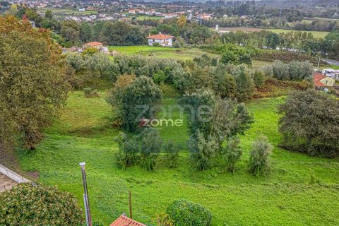 Helårsgrund i Viana do Castelo, Viana do Castelo, Viana do Castelo - € 196.000 | Ref: ZMPT582699 - foto 5