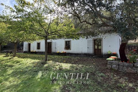 Villa i Luogosanto, Sassari, Luogosanto - € 410.000 | Ref: AZ-38 - foto 19