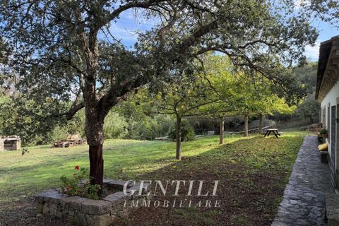 Villa i Luogosanto, Sassari, Luogosanto - € 410.000 | Ref: AZ-38 - foto 20