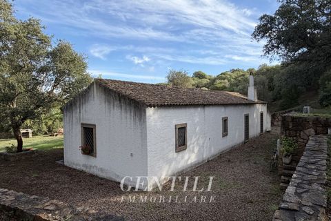 Villa i Luogosanto, Sassari, Luogosanto - € 410.000 | Ref: AZ-38 - foto 21