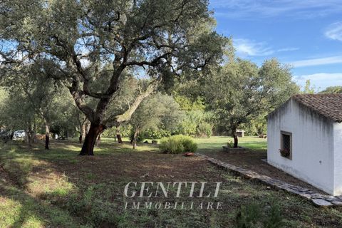 Villa i Luogosanto, Sassari, Luogosanto - € 410.000 | Ref: AZ-38 - foto 22