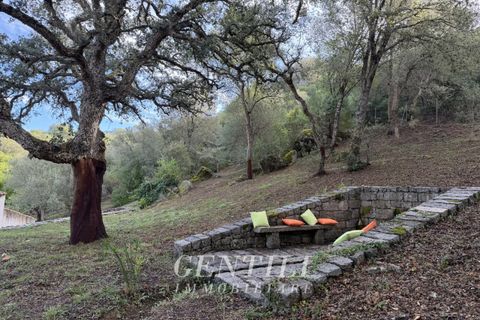 Villa i Luogosanto, Sassari, Luogosanto - € 410.000 | Ref: AZ-38 - foto 23