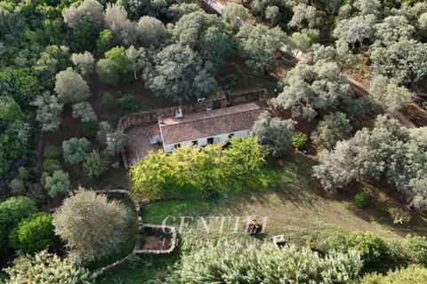 Villa i Luogosanto, Sassari, Luogosanto - € 410.000 | Ref: AZ-38 - foto 26