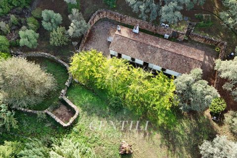 Villa i Luogosanto, Sassari, Luogosanto - € 410.000 | Ref: AZ-38 - foto 18