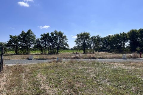 Terra a Oree-d'Anjou, Maine-et-Loire, Oree-d'Anjou - € 59.000 | Ref: NSE2_D3914612D - foto 8