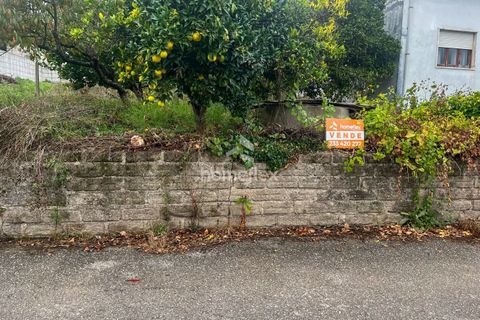Helårsgrund i Soure, Coimbra, Soure - € 59.900 | Ref: 1656/AV - foto 2