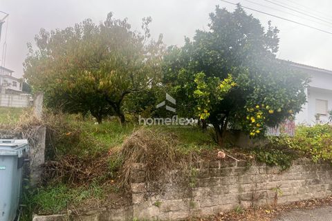 Helårsgrund i Soure, Coimbra, Soure - € 59.900 | Ref: 1656/AV - foto 3