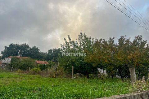 Helårsgrund i Soure, Coimbra, Soure - € 59.900 | Ref: 1656/AV - foto 5