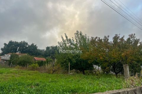 Helårsgrund i Soure, Coimbra, Soure - € 59.900 | Ref: 1656/AV - foto 6