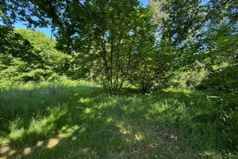 Terra a Pluherlin, Morbihan, Pluherlin - € 32.000 | Ref: 187904 - foto 2